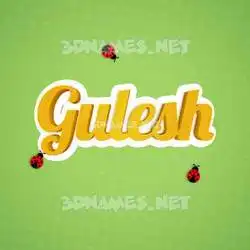 gulesh in Ladybugs style - 3D name wallpaper
