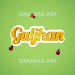 guljhan in Ladybugs style - 3D name wallpaper