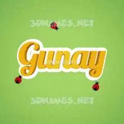 gunay in Ladybugs style - 3D name wallpaper
