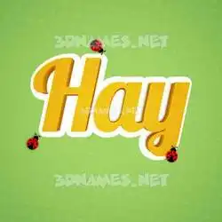 hay in Ladybugs style - 3D name wallpaper