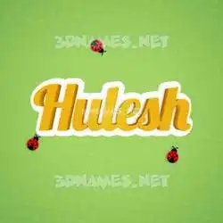 hulesh in Ladybugs style - 3D name wallpaper