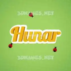 hunar in Ladybugs style - 3D name wallpaper