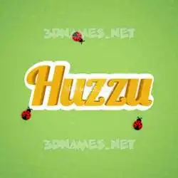 huzzu in Ladybugs style - 3D name wallpaper