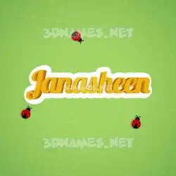 janasheen in Ladybugs style - 3D name wallpaper