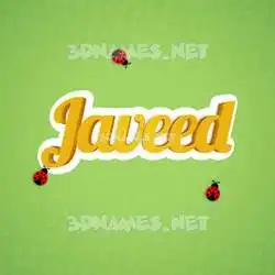 javeed in Ladybugs style - 3D name wallpaper
