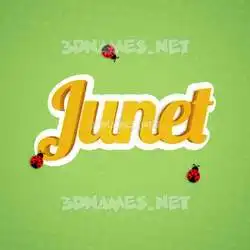 junet in Ladybugs style - 3D name wallpaper