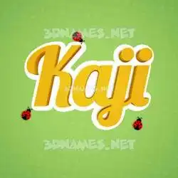 kaji in Ladybugs style - 3D name wallpaper