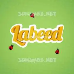 labeed in Ladybugs style - 3D name wallpaper