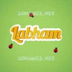 labham in Ladybugs style - 3D name wallpaper