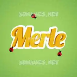 merle in Ladybugs style - 3D name wallpaper