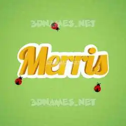 merris in Ladybugs style - 3D name wallpaper