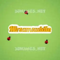 mirsamsuddin in Ladybugs style - 3D name wallpaper