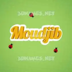 moudjib in Ladybugs style - 3D name wallpaper