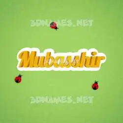 mubasshir in Ladybugs style - 3D name wallpaper
