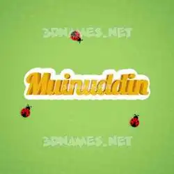 muinuddin in Ladybugs style - 3D name wallpaper