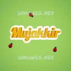 mujakkir in Ladybugs style - 3D name wallpaper
