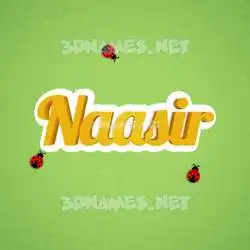 naasir in Ladybugs style - 3D name wallpaper