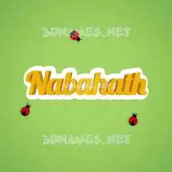 nabahath in Ladybugs style - 3D name wallpaper