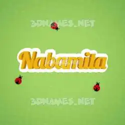nabamita in Ladybugs style - 3D name wallpaper