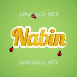 nabin in Ladybugs style - 3D name wallpaper