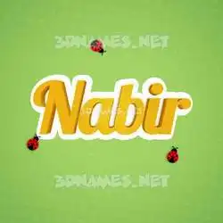 nabir in Ladybugs style - 3D name wallpaper