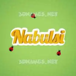 nabulsi in Ladybugs style - 3D name wallpaper