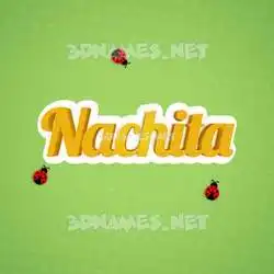 nachita in Ladybugs style - 3D name wallpaper