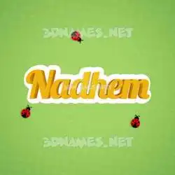 nadhem in Ladybugs style - 3D name wallpaper