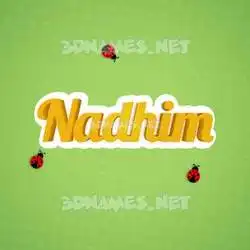 nadhim in Ladybugs style - 3D name wallpaper