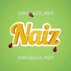 naiz in Ladybugs style - 3D name wallpaper