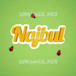 najbul in Ladybugs style - 3D name wallpaper
