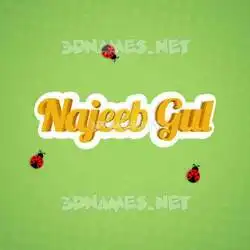 najeeb gul in Ladybugs style - 3D name wallpaper