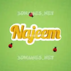 najeem in Ladybugs style - 3D name wallpaper