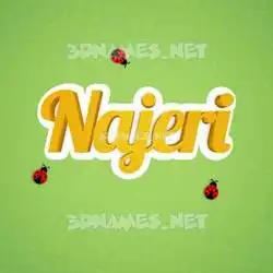 najeri in Ladybugs style - 3D name wallpaper