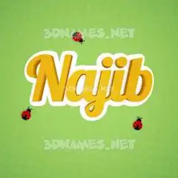 najib in Ladybugs style - 3D name wallpaper