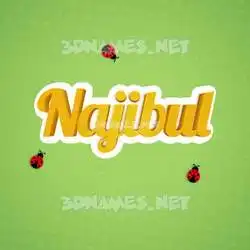 najibul in Ladybugs style - 3D name wallpaper