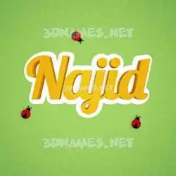najid in Ladybugs style - 3D name wallpaper