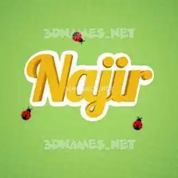 najir in Ladybugs style - 3D name wallpaper