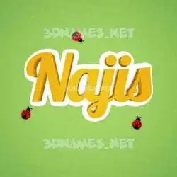 najis in Ladybugs style - 3D name wallpaper