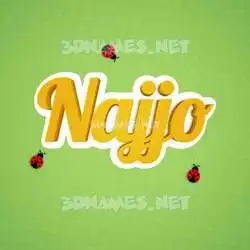najjo in Ladybugs style - 3D name wallpaper