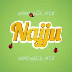 najju in Ladybugs style - 3D name wallpaper