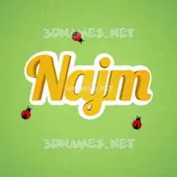 najm in Ladybugs style - 3D name wallpaper