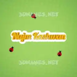 najm kashwan in Ladybugs style - 3D name wallpaper