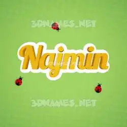 najmin in Ladybugs style - 3D name wallpaper