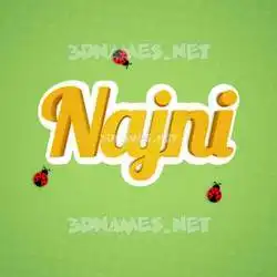 najni in Ladybugs style - 3D name wallpaper