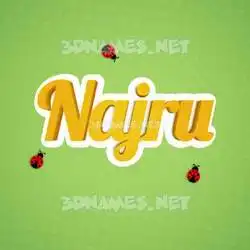 najru in Ladybugs style - 3D name wallpaper