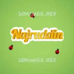 najruddin in Ladybugs style - 3D name wallpaper