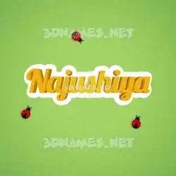 najushiya in Ladybugs style - 3D name wallpaper