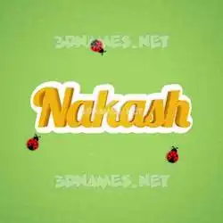 nakash in Ladybugs style - 3D name wallpaper