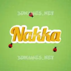 nakka in Ladybugs style - 3D name wallpaper